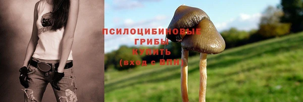 mdpv Краснослободск