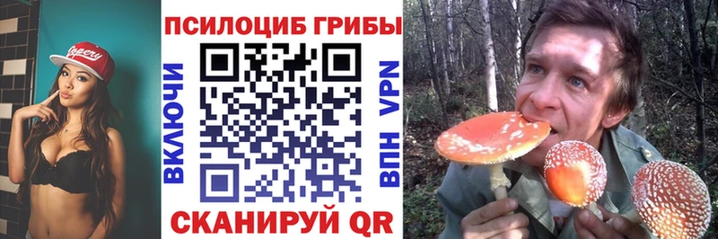 Галлюциногенные грибы Psilocybe  Малгобек 